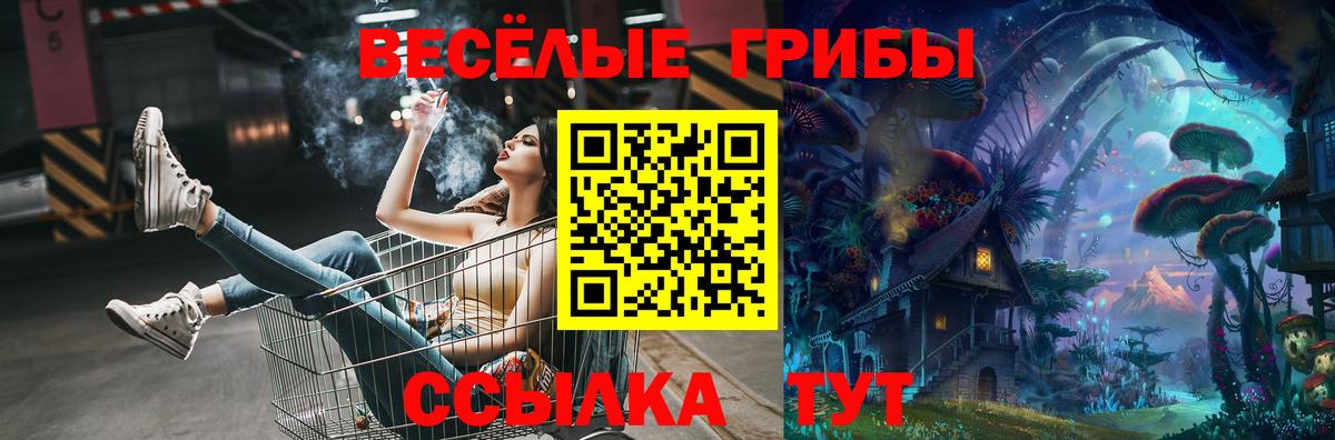 Галлюциногенные грибы Psilocybe Мурманск